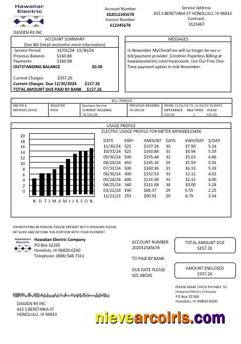 USA Hawaiian Electric business utility bill